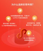 開發(fā)個(gè)電商小程序的費(fèi)用因素影響