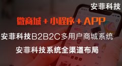 網(wǎng)上商城開(kāi)發(fā)中小企企業(yè)要注意什么